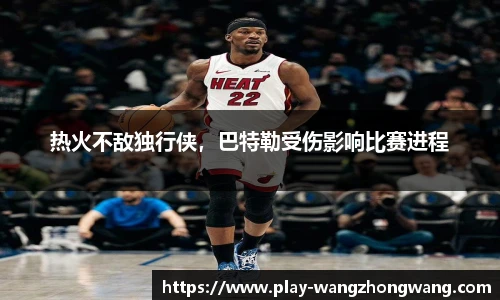 王中王资料大全