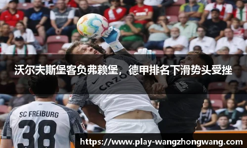 王中王资料