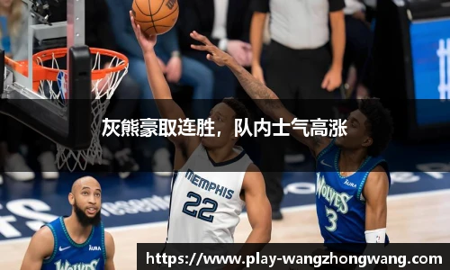 王中王资料大全