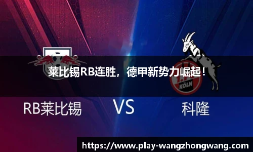 王中王资料