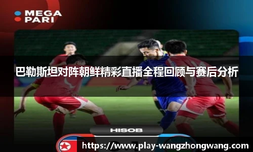 王中王资料大全
