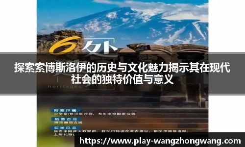 王中王官网资料