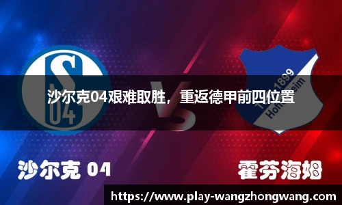 王中王资料大全