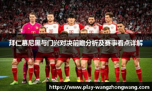 王中王资料大全