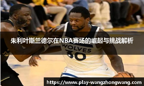王中王官网资料
